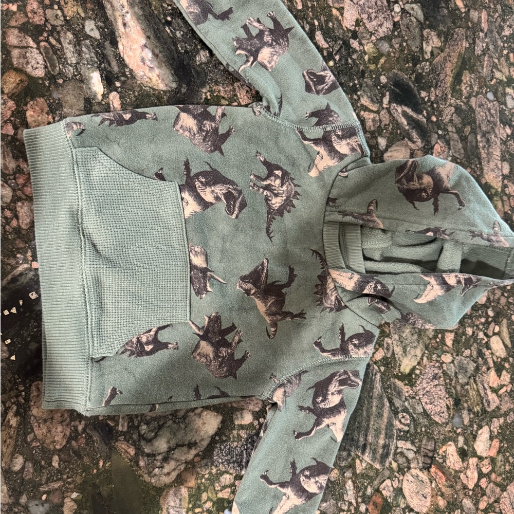 Wonder Nation Olive Green Hoodie